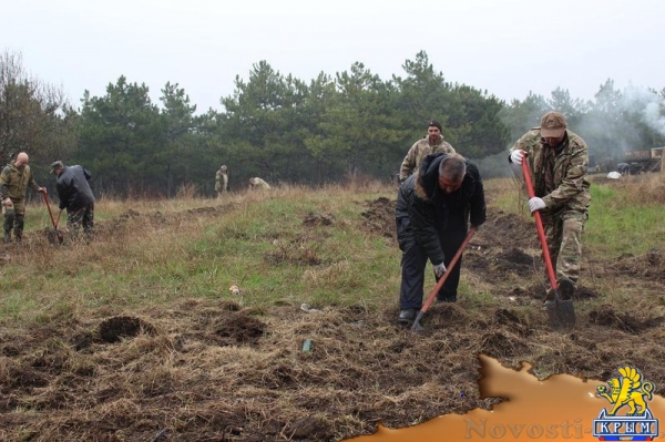 Участники субботника по озеленению и уборке высадили в ландшафтно-рекреационном парке «Битак» 600 деревьев (ФОТО) - «Возвращение в Россию»