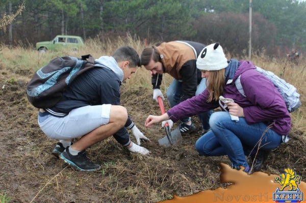 Участники субботника по озеленению и уборке высадили в ландшафтно-рекреационном парке «Битак» 600 деревьев (ФОТО) - «Возвращение в Россию»