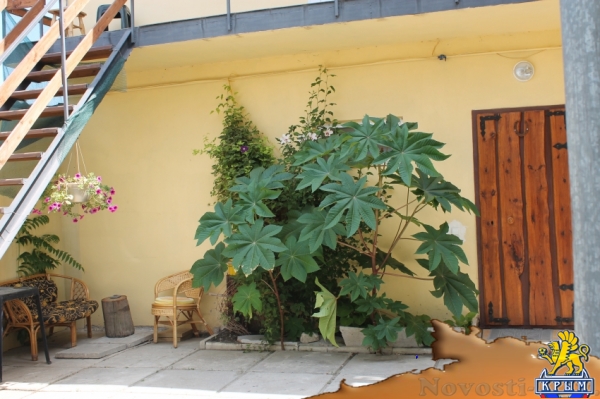 Отдых в Феодосии. Романтический номер-люкс на двоих с камином и сауной у моря Отдых в Крыму 2017 - жильё в Крыму без посредников - «Отдых в Феодосии»