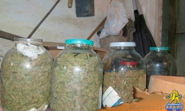 Керчанин закопал в огороде несколько бутылей с марихуаной - «Происшествия»