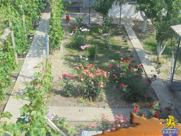 Отдых-эконом в Коктебеле. Уютный домик Отдых в Крыму 2017 - жильё в Крыму без посредников - «Отдых в Коктебеле»