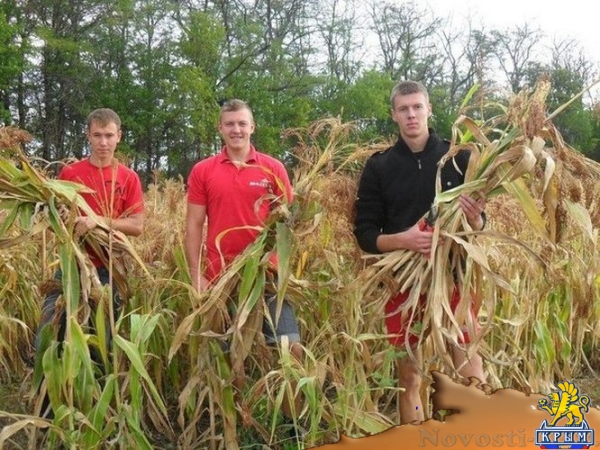 Сергей Додонов: Академия биоресурсов КФУ учит студентов трудиться - «Интервью» Сергей Додонов: Академия биоресурсов КФУ учит студентов трудиться - «Интервью»