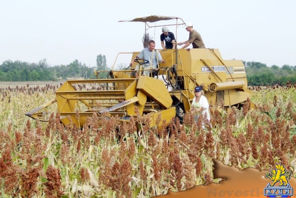Сергей Додонов: Академия биоресурсов КФУ учит студентов трудиться - «Интервью» Сергей Додонов: Академия биоресурсов КФУ учит студентов трудиться - «Интервью»