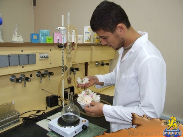 Сергей Додонов: Академия биоресурсов КФУ учит студентов трудиться - «Интервью» Сергей Додонов: Академия биоресурсов КФУ учит студентов трудиться - «Интервью»