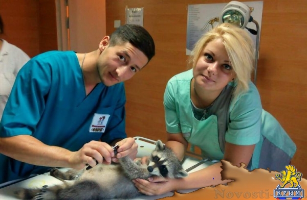 Сергей Додонов: Академия биоресурсов КФУ учит студентов трудиться - «Интервью» Сергей Додонов: Академия биоресурсов КФУ учит студентов трудиться - «Интервью»