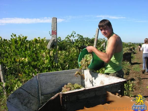 Сергей Додонов: Академия биоресурсов КФУ учит студентов трудиться - «Интервью» Сергей Додонов: Академия биоресурсов КФУ учит студентов трудиться - «Интервью»