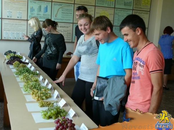 Сергей Додонов: Академия биоресурсов КФУ учит студентов трудиться - «Интервью» Сергей Додонов: Академия биоресурсов КФУ учит студентов трудиться - «Интервью»