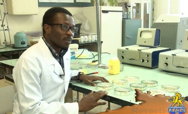 ДНК-инсектициды – ноу-хау ученых КФУ - «Культура Крыма» ДНК-инсектициды – ноу-хау ученых КФУ - «Культура Крыма»