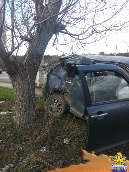 Под Симферополем авто разбилось о дерево и столб - водителю стало плохо в дороге (ФОТО, обновлено) - «Симферополь»