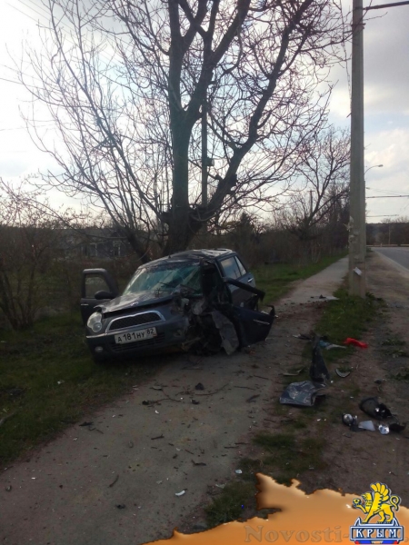 Под Симферополем авто разбилось о дерево и столб - водителю стало плохо в дороге (ФОТО, обновлено) - «Симферополь»