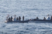 В Крым не пустили котов, собак и попугаев - «Новости Крыма»