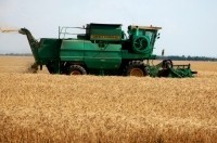 Севастополь отправит в вино для «утоления печали» - «Новости Крыма»