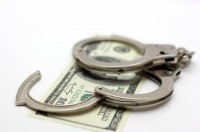 В Симферополе украли полсотни туй - «Новости Крыма»