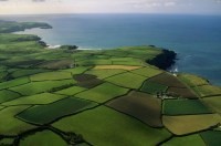 Росреестр продлил полномочия крымского Госкомрегистра на ближайшие два года - «Новости Крыма»