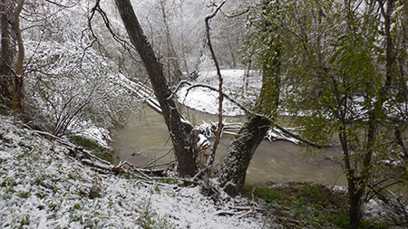 В горно-лесной зоне спасатели «КРЫМ-СПАС» эвакуировали группу туристов из 6 человек - «МЧС»