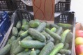 На рынке Феодосии дешевеют огурцы и куры, дорожает картофель и свинина - «Феодосия» На рынке Феодосии дешевеют огурцы и куры, дорожает картофель и свинина - «Феодосия»