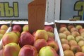На рынке Феодосии дешевеют огурцы и куры, дорожает картофель и свинина - «Феодосия» На рынке Феодосии дешевеют огурцы и куры, дорожает картофель и свинина - «Феодосия»
