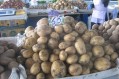 На рынке Феодосии дешевеют огурцы и куры, дорожает картофель и свинина - «Феодосия» На рынке Феодосии дешевеют огурцы и куры, дорожает картофель и свинина - «Феодосия»