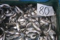 На рынке Феодосии дешевеют огурцы и куры, дорожает картофель и свинина - «Феодосия» На рынке Феодосии дешевеют огурцы и куры, дорожает картофель и свинина - «Феодосия»