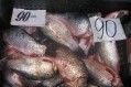 На рынке Феодосии дешевеют огурцы и куры, дорожает картофель и свинина - «Феодосия» На рынке Феодосии дешевеют огурцы и куры, дорожает картофель и свинина - «Феодосия»