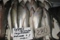 На рынке Феодосии дешевеют огурцы и куры, дорожает картофель и свинина - «Феодосия» На рынке Феодосии дешевеют огурцы и куры, дорожает картофель и свинина - «Феодосия»