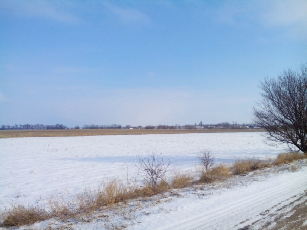 Земинспекторы Госкомрегистра совместно с прокуратурой РК проводят проверку законности использования участка площадью 20 000 кв.м в селе Черноземное - «Госкомрегистр»