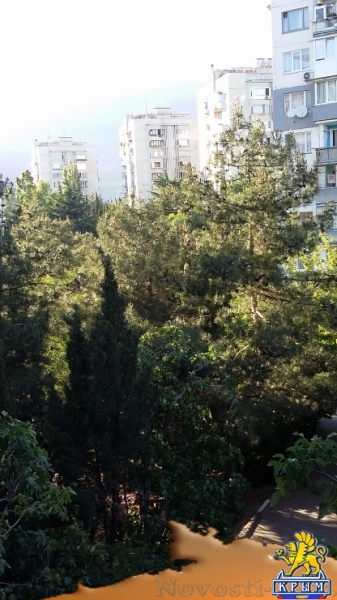 Отдых в Ялте. Квартира без посредников Отдых в Крыму 2017 - жильё в Крыму без посредников - «Отдых в Ялте»