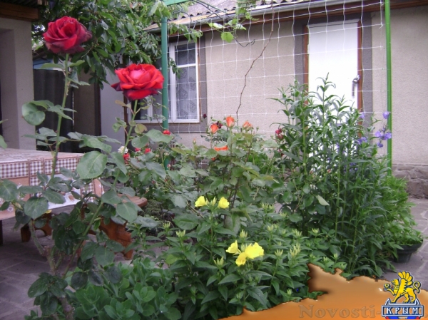 Отдых в Судаке. СУДАК, ЧАСТНЫЙ СЕКТОР БЕЗ ПОСРЕДНИКОВ! Отдых в Крыму 2017 - жильё в Крыму без посредников - «Отдых в Судаке»