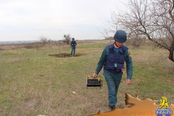 В Багерово местные жители нашли авиабомбу весом в четверть тонны - «Керчь»