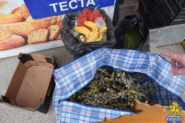 Предприниматели симферопольского микрорынка на ул. Козлова согласны на снос незаконных объектов – администрация города (ФОТО) - «70 лет Победы»