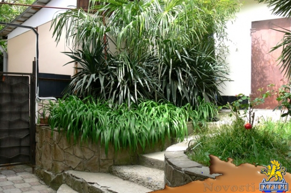 Отдых в Ялте. 1-к квартира от 650руб. Отдых в Крыму 2017 - жильё в Крыму без посредников - «Отдых в Ялте»