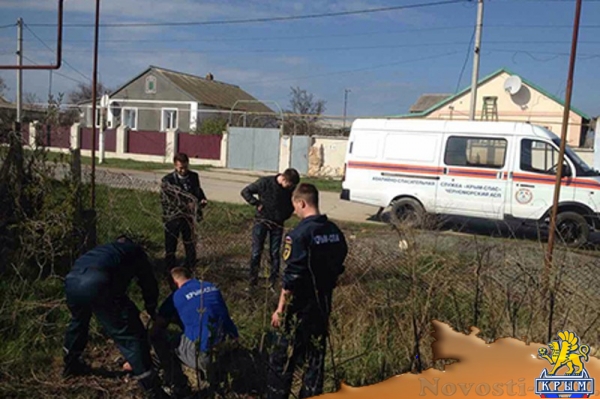 Осел провел несколько дней в яме в Черноморском районе до прибытия спасателей (ФОТО) - «Экономика Крыма» Осел провел несколько дней в яме в Черноморском районе до прибытия спасателей (ФОТО) - «Экономика Крыма»