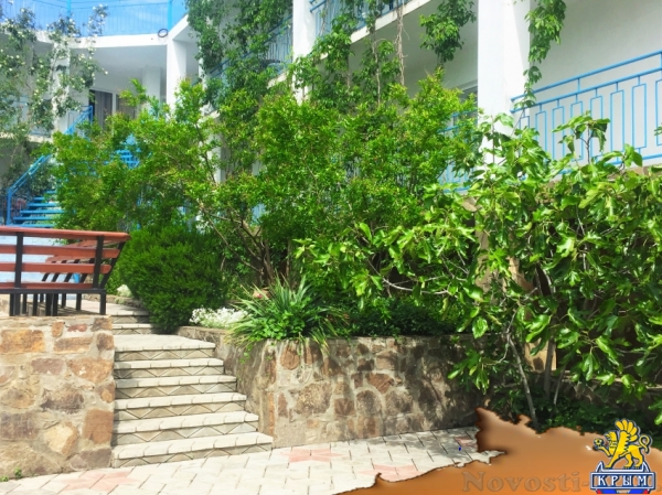 Отдых-эконом в Алуште. Семейный отдых в уютном пансионате «Солнечный бриз» Отдых в Крыму 2017 - жильё в Крыму без посредников - «Отдых в Алуште»