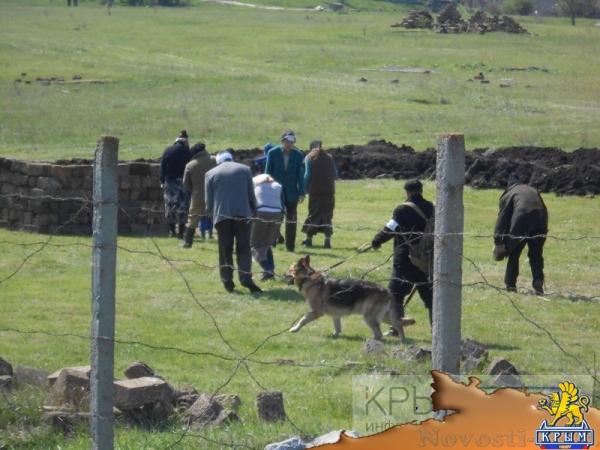 День освобождения Симферопольского района отметили в Мирном (ФОТО) - «Общество Крыма»
