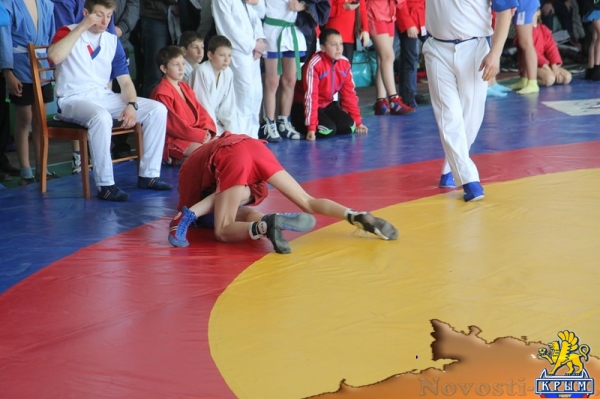 Турнир по самбо в Керчи: первые новости с места событий - «Керчь»