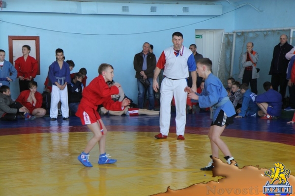 Турнир по самбо в Керчи: первые новости с места событий - «Керчь»