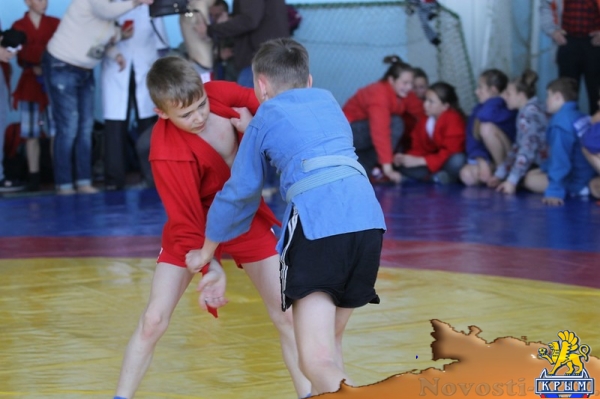 Турнир по самбо в Керчи: первые новости с места событий - «Керчь»
