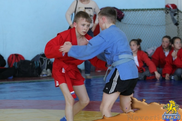 Турнир по самбо в Керчи: первые новости с места событий - «Керчь»