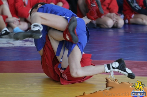 Турнир по самбо в Керчи: первые новости с места событий - «Керчь»