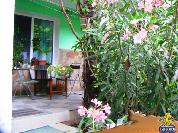 Отдых в Ялте. Квартира в центре Ялты со своим двориком в 5 минутах от пляжа Отдых в Крыму 2017 - жильё в Крыму без посредников - «Отдых в Ялте»