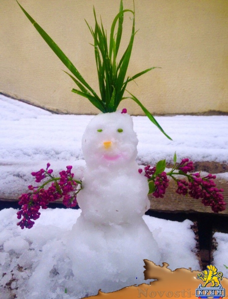 Крымчане в соцсетях хвастаются апрельскими снеговиками - «Общество»