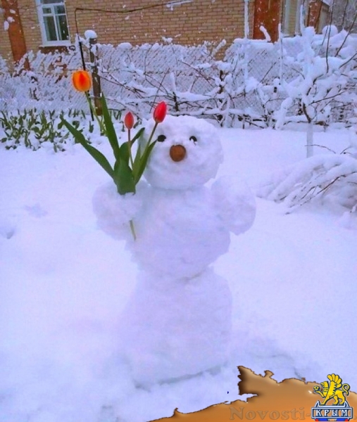 Крымчане в соцсетях хвастаются апрельскими снеговиками - «Общество»