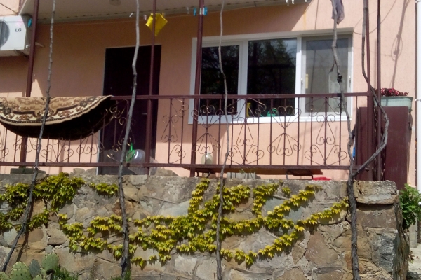 Госземинспекторы проводят проверку законности размещения 124 объектов недвижимости на территории «Артека» - «Госкомрегистр»