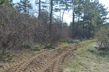 Сергей Шахов: регулярный контроль и ежедневная профилактическая работа по предотвращению возгораний дает свои положительные результаты - «МЧС» Сергей Шахов: регулярный контроль и ежедневная профилактическая работа по предотвращению возгораний дает свои положительные результаты - «МЧС»