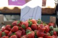 Цены на рынке Феодосии замерли - «Феодосия» Цены на рынке Феодосии замерли - «Феодосия»