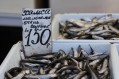 Цены на рынке Феодосии замерли - «Феодосия» Цены на рынке Феодосии замерли - «Феодосия»