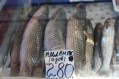 Цены на рынке Феодосии замерли - «Феодосия» Цены на рынке Феодосии замерли - «Феодосия»