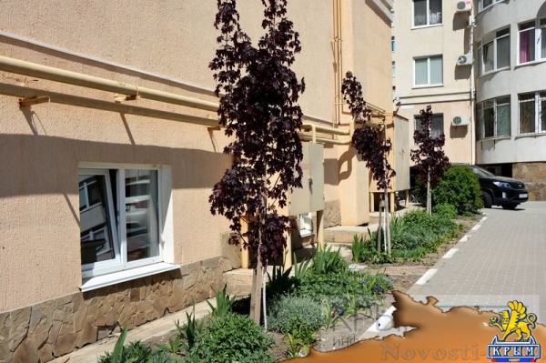 Управляющие компании «Монолита» предоставляют оптимальный комфорт по минимальному тарифу - «Возвращение в Россию» Управляющие компании «Монолита» предоставляют оптимальный комфорт по минимальному тарифу - «Возвращение в Россию»