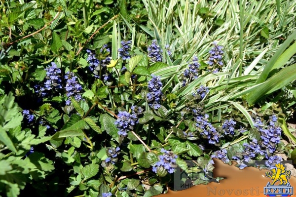 Управляющие компании «Монолита» предоставляют оптимальный комфорт по минимальному тарифу - «Возвращение в Россию» Управляющие компании «Монолита» предоставляют оптимальный комфорт по минимальному тарифу - «Возвращение в Россию»