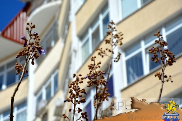 Управляющие компании «Монолита» предоставляют оптимальный комфорт по минимальному тарифу - «Возвращение в Россию» Управляющие компании «Монолита» предоставляют оптимальный комфорт по минимальному тарифу - «Возвращение в Россию»